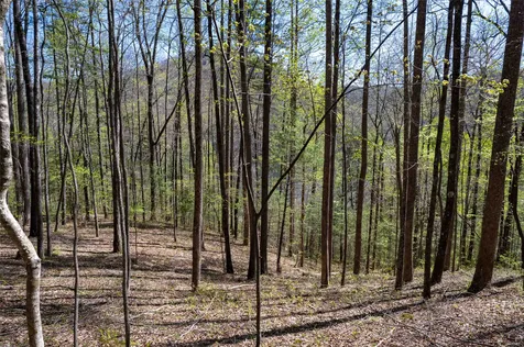 00 Pepperbush Lane Tuckasegee NC 28783