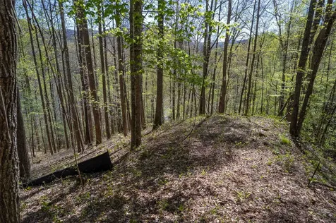 00 Pepperbush Lane Tuckasegee NC 28783
