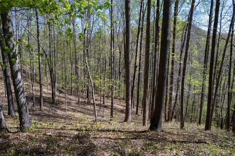 00 Pepperbush Lane Tuckasegee NC 28783