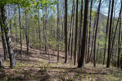 00 Pepperbush Lane Tuckasegee NC 28783