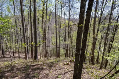 00 Pepperbush Lane Tuckasegee NC 28783