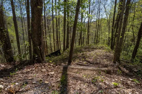 00 Pepperbush Lane Tuckasegee NC 28783
