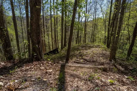 00 Pepperbush Lane Tuckasegee NC 28783