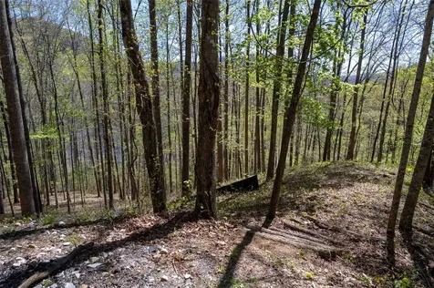 00 Pepperbush Lane Tuckasegee NC 28783