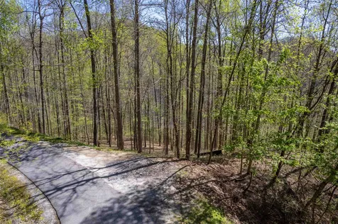 00 Pepperbush Lane Tuckasegee NC 28783