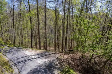 00 Pepperbush Lane Tuckasegee NC 28783
