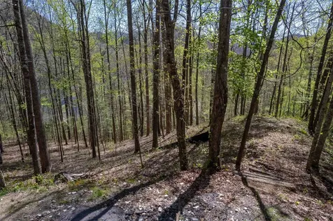 00 Pepperbush Lane Tuckasegee NC 28783