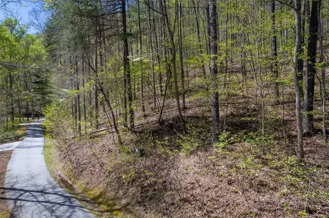 00 Pepperbush Lane Tuckasegee NC 28783