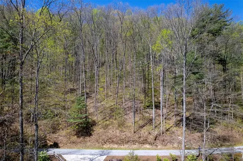 00 Pepperbush Lane Tuckasegee NC 28783