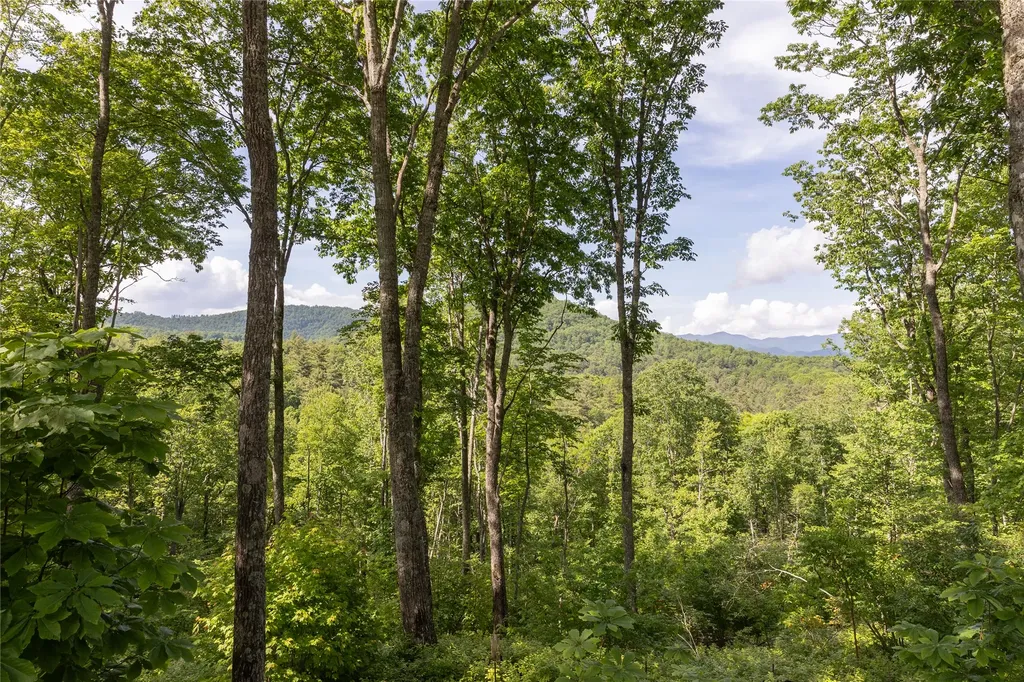 C21 Roaming Road Glenville NC 28736