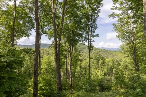 C21 Roaming Road Glenville NC 28736