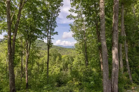 C21 Roaming Road Glenville NC 28736