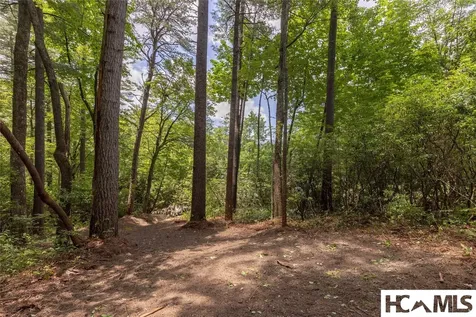 48 D-2 North Club Lake Toxaway NC 28747
