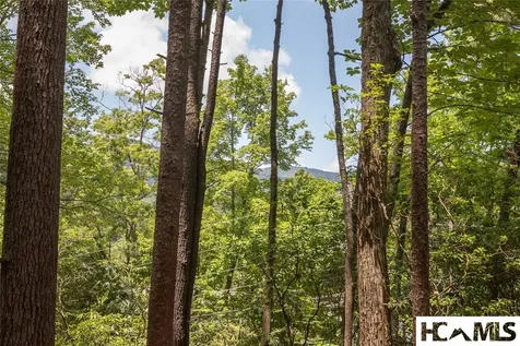 48 D-2 North Club Lake Toxaway NC 28747