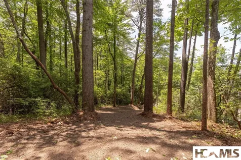 48 D-2 North Club Lake Toxaway NC 28747
