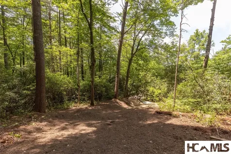 48 D-2 North Club Lake Toxaway NC 28747
