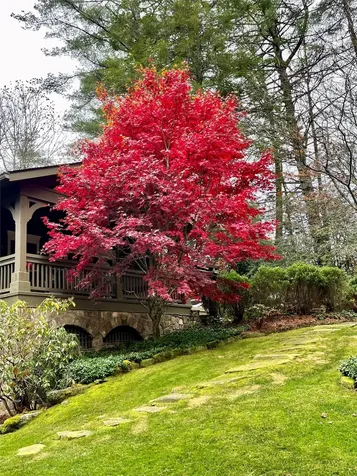 72 Moonlight Lane Highlands NC 28741