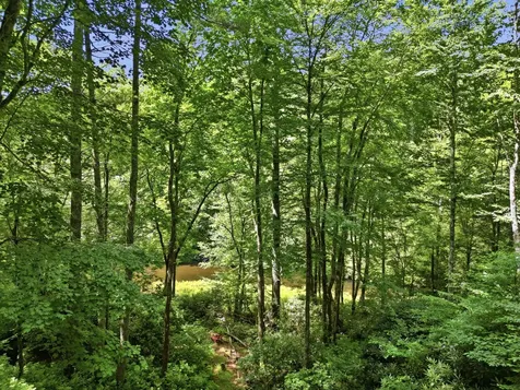 144 Hogback Court Sapphire NC 28774