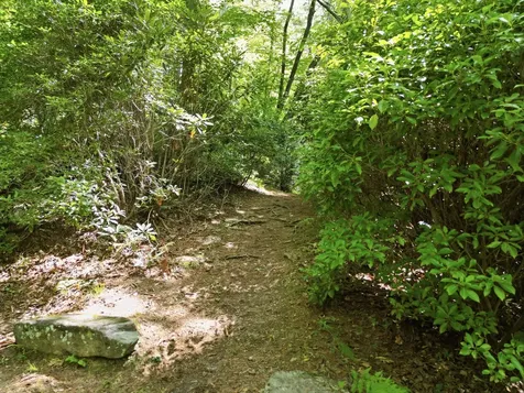 144 Hogback Court Sapphire NC 28774