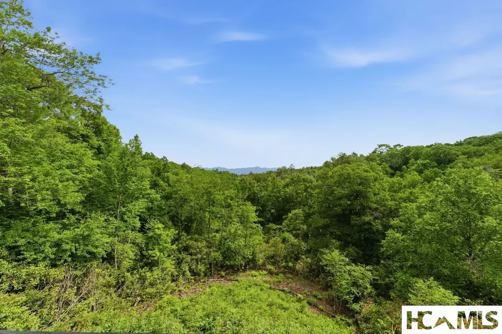 2276 Breedlove Road Glenville NC 28736