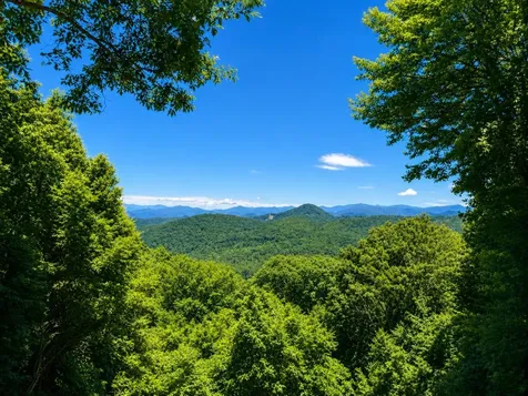2017 Big Ridge Road Glenville NC 28736