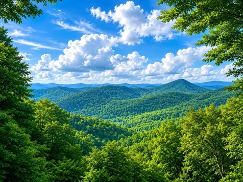 2017 Big Ridge Road Glenville NC 28736