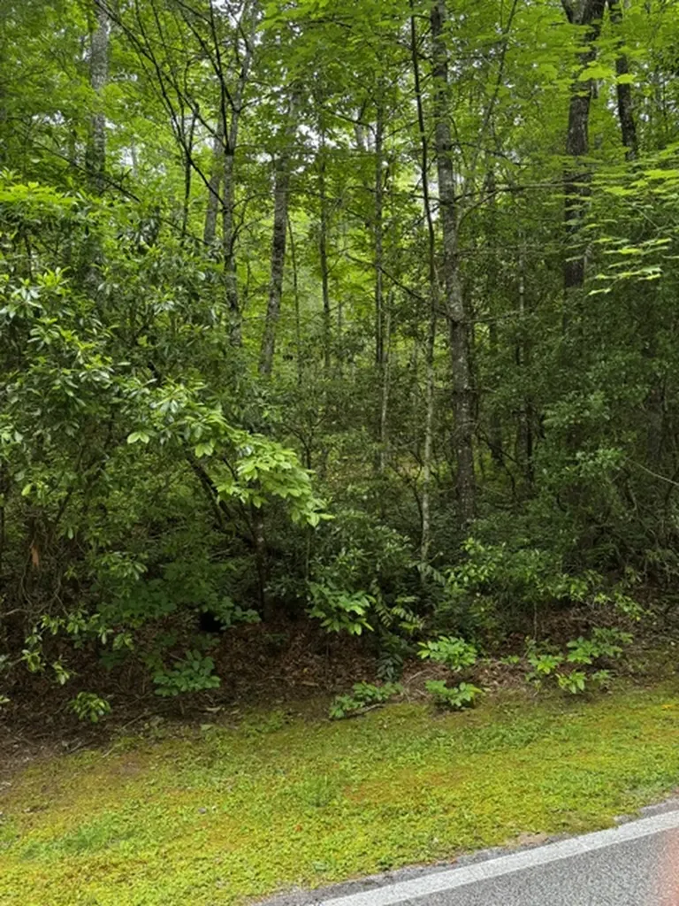 47B Big Pine Road Sapphire NC 28774