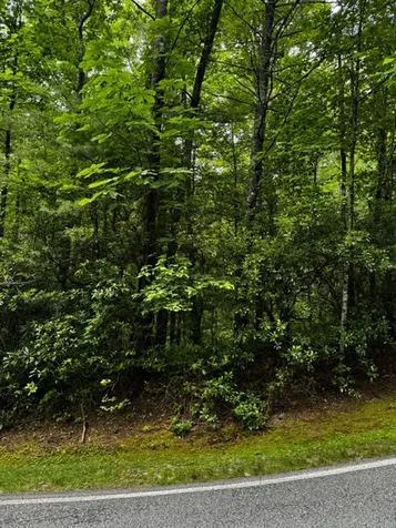 47B Big Pine Road Sapphire NC 28774