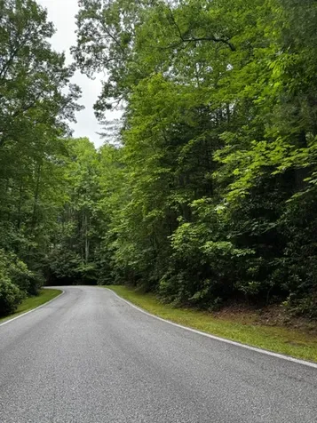 47B Big Pine Road Sapphire NC 28774