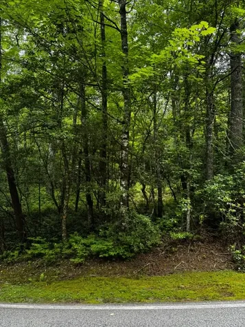 47B Big Pine Road Sapphire NC 28774