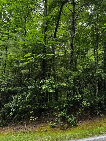 47B Big Pine Road Sapphire NC 28774
