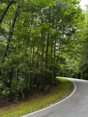 47B Big Pine Road Sapphire NC 28774