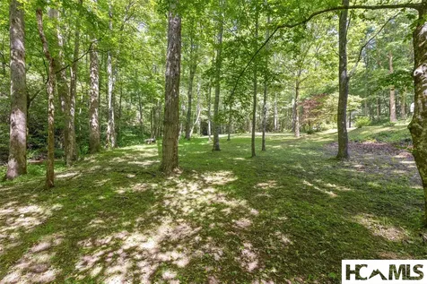 427 Mulberry Ridge Road Otto NC 28763