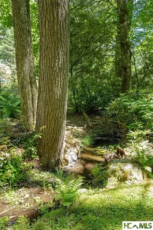 80 Highfield Drive Highlands NC 28741