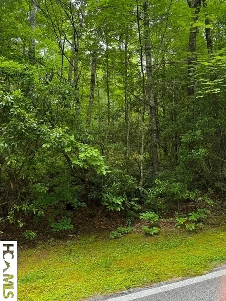 48B Big Pine Road Sapphire NC 28774