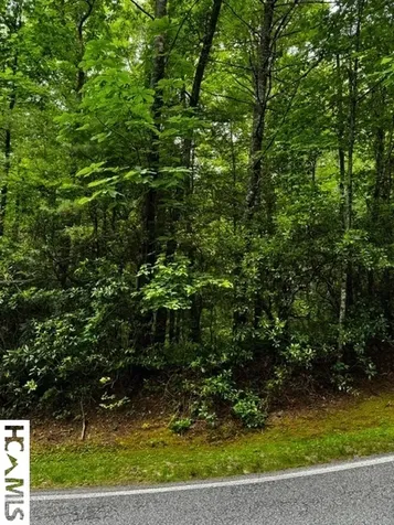 48B Big Pine Road Sapphire NC 28774