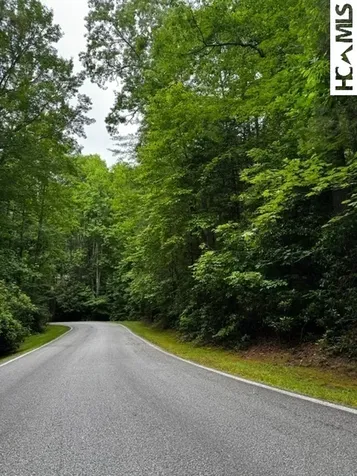 48B Big Pine Road Sapphire NC 28774