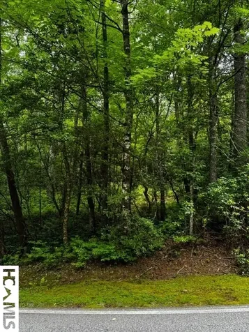 48B Big Pine Road Sapphire NC 28774