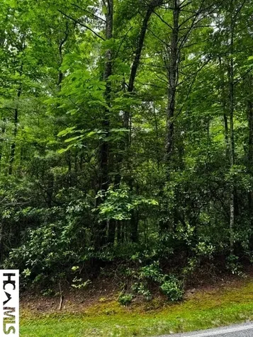 48B Big Pine Road Sapphire NC 28774