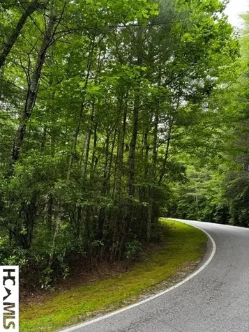 48B Big Pine Road Sapphire NC 28774