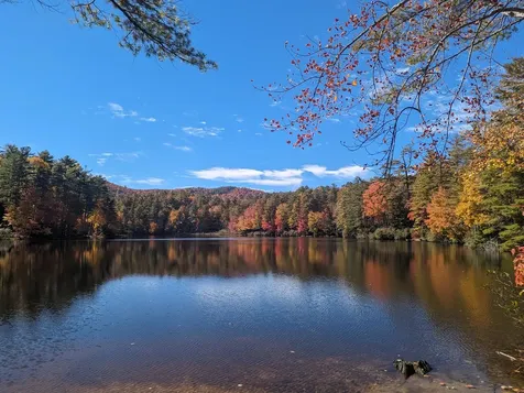 2469 Upper Whitewater Road Sapphire NC 28774