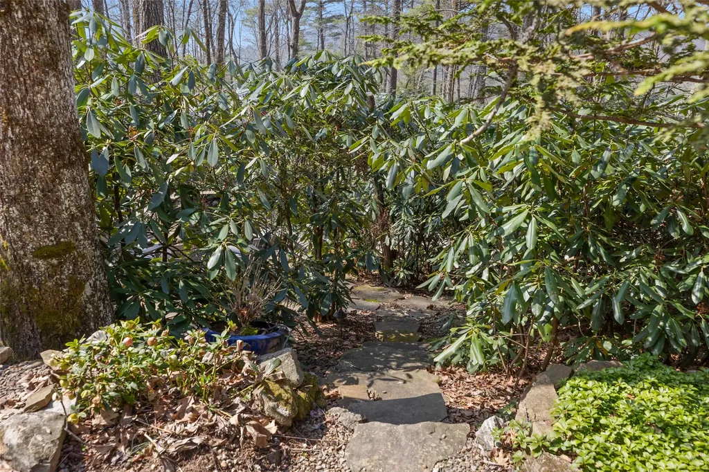 86 Dogwood Drive Highlands NC 28741