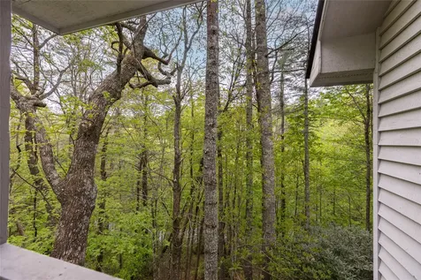 57 River Club Villas Drive Sapphire NC 28774