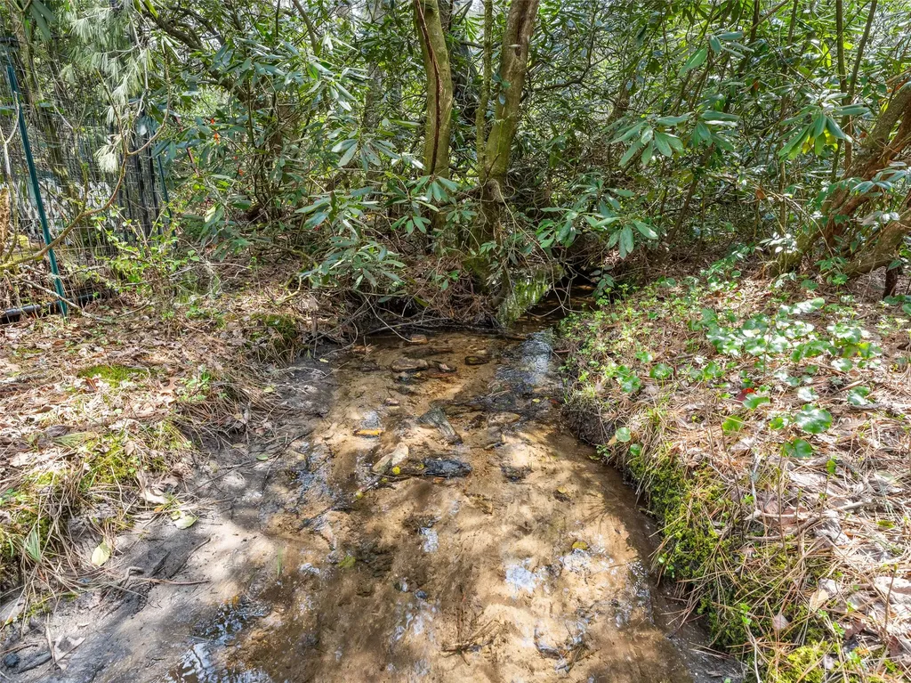 18 Holly Springs Drive Sapphire NC 28774