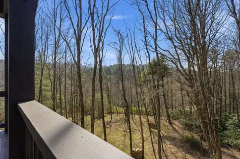 2272 Trillium Ridge Road Cashiers NC 28717