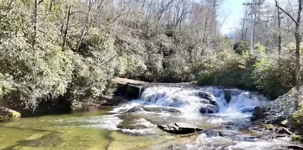262 Rooster Cove Brevard NC 28712
