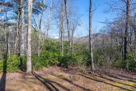 Trp 1 Cardinal Drive West Lake Toxaway NC 28747