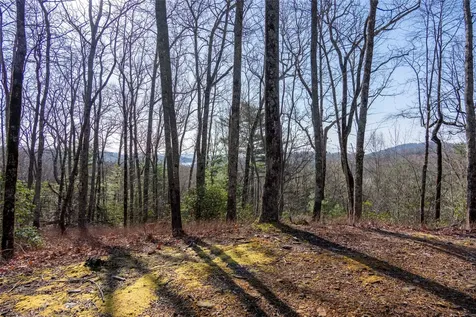 Trp 1 Cardinal Drive West Lake Toxaway NC 28747