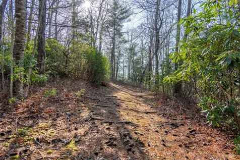 Trp 1 Cardinal Drive West Lake Toxaway NC 28747