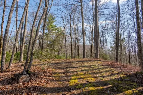 Trp 1 Cardinal Drive West Lake Toxaway NC 28747